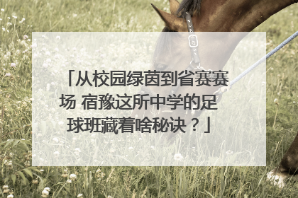 从校园绿茵到省赛赛场 宿豫这所中学的足球班藏着啥秘诀？