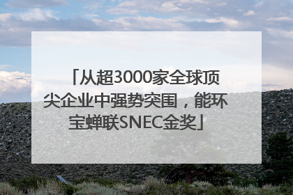 从超3000家全球顶尖企业中强势突围，能环宝蝉联SNEC金奖