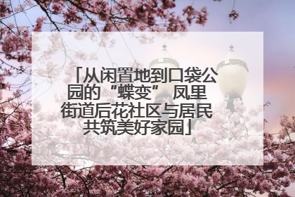 从闲置地到口袋公园的“蝶变” 凤里街道后花社区与居民共筑美好家园