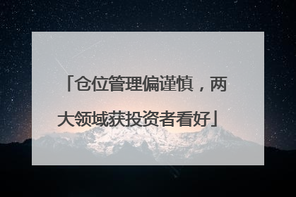仓位管理偏谨慎，两大领域获投资者看好