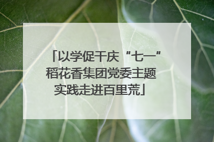 以学促干庆“七一” 稻花香集团党委主题实践走进百里荒