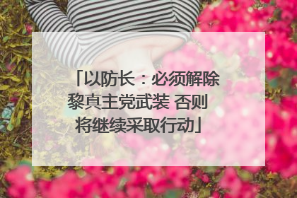 以防长：必须解除黎真主党武装 否则将继续采取行动