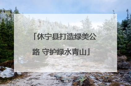 休宁县打造绿美公路 守护绿水青山