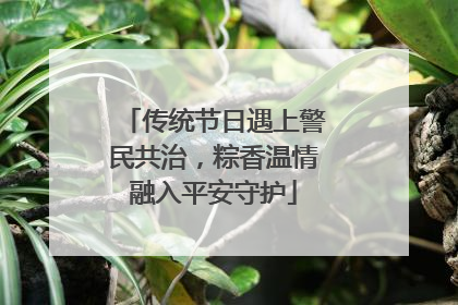 传统节日遇上警民共治，粽香温情融入平安守护