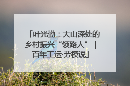 叶光勤：大山深处的乡村振兴“领路人”｜百年工运·劳模说