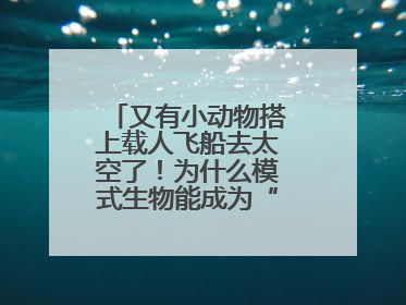 又有小动物搭上载人飞船去太空了！为什么模式生物能成为“探索代表”？
