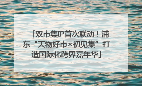 双市集IP首次联动！浦东“天物好市×初见集”打造国际化跨界嘉年华