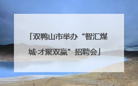 双鸭山市举办“智汇煤城·才聚双赢”招聘会