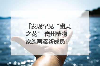发现罕见“幽灵之花” 贵州植物家族再添新成员