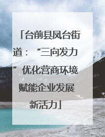 台前县凤台街道：“三向发力”优化营商环境 赋能企业发展新活力