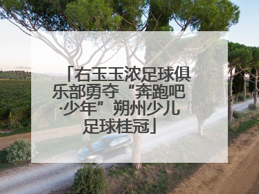 右玉玉浓足球俱乐部勇夺“奔跑吧·少年”朔州少儿足球桂冠