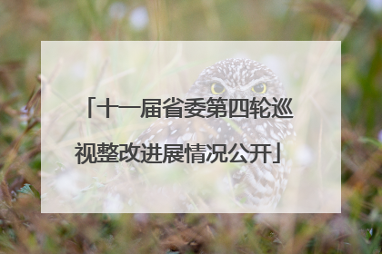 十一届省委第四轮巡视整改进展情况公开