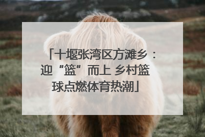 十堰张湾区方滩乡：迎“篮”而上 乡村篮球点燃体育热潮