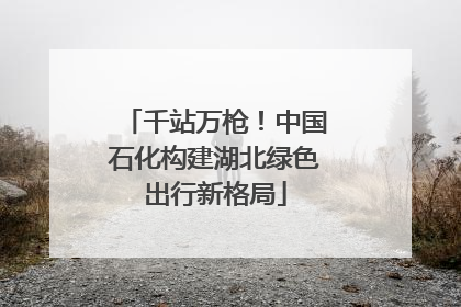 千站万枪！中国石化构建湖北绿色出行新格局