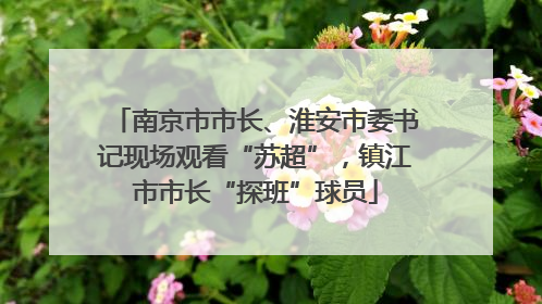 南京市市长、淮安市委书记现场观看“苏超”，镇江市市长“探班”球员