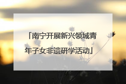 南宁开展新兴领域青年子女非遗研学活动