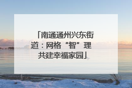南通通州兴东街道：网格“智”理 共建幸福家园