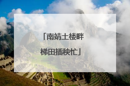 南靖土楼畔 梯田插秧忙