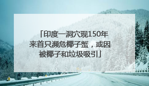 印度一洞穴现150年来首只濒危椰子蟹，或因被椰子和垃圾吸引