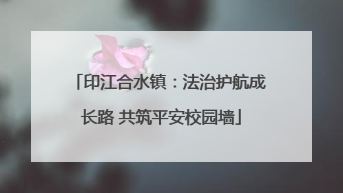 印江合水镇：法治护航成长路 共筑平安校园墙