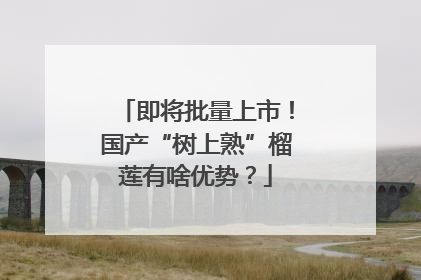 即将批量上市！国产“树上熟”榴莲有啥优势？