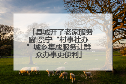 县城开了老家服务窗 景宁“村事社办”城乡集成服务让群众办事更便利