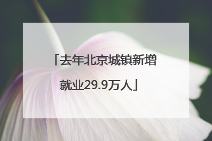 去年北京城镇新增就业29.9万人