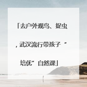 去户外观鸟、捉虫，武汉流行带孩子“培优”自然课