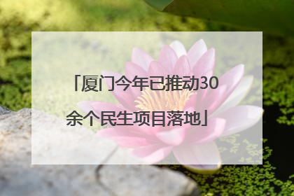 厦门今年已推动30余个民生项目落地