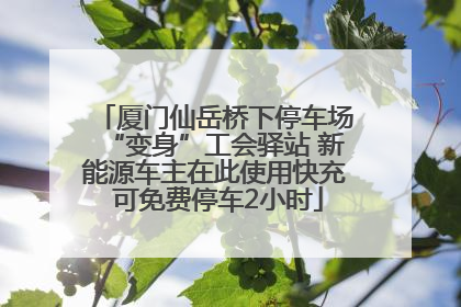 厦门仙岳桥下停车场“变身”工会驿站 新能源车主在此使用快充 可免费停车2小时