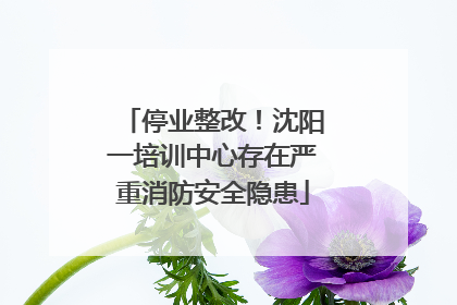 停业整改！沈阳一培训中心存在严重消防安全隐患