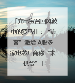 充电宝召回风波中的罗马仕：“访客”激增 A股多家电芯厂商称“未供货”
