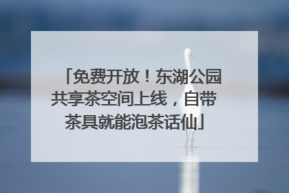 免费开放！东湖公园共享茶空间上线，自带茶具就能泡茶话仙