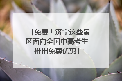 免费！济宁这些景区面向全国中高考生推出免票优惠