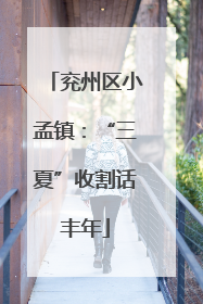 兖州区小孟镇：“三夏”收割话丰年