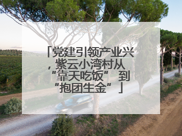 党建引领产业兴，紫云小湾村从 “靠天吃饭” 到 “抱团生金”