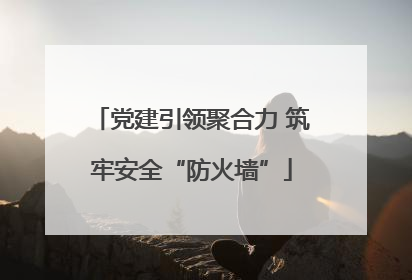 党建引领聚合力 筑牢安全“防火墙”