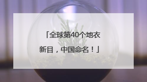全球第40个地衣新目，中国命名！