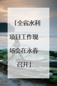 全省水利项目工作现场会在永春召开