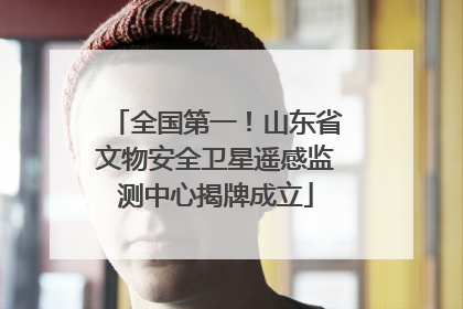 全国第一！山东省文物安全卫星遥感监测中心揭牌成立
