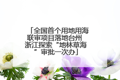 全国首个用地用海联审项目落地台州 浙江探索“地林草海”审批一次办