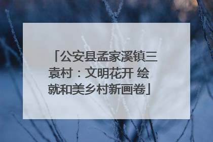 公安县孟家溪镇三袁村：文明花开 绘就和美乡村新画卷