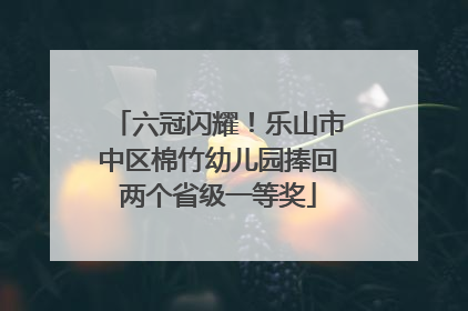 六冠闪耀！乐山市中区棉竹幼儿园捧回两个省级一等奖