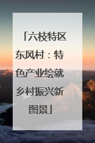 六枝特区东风村：特色产业绘就乡村振兴新图景