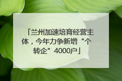 兰州加速培育经营主体，今年力争新增“个转企”4000户