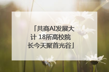 共商AI发展大计 18所高校院长今天聚首光谷