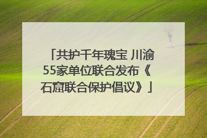 共护千年瑰宝 川渝55家单位联合发布《石窟联合保护倡议》