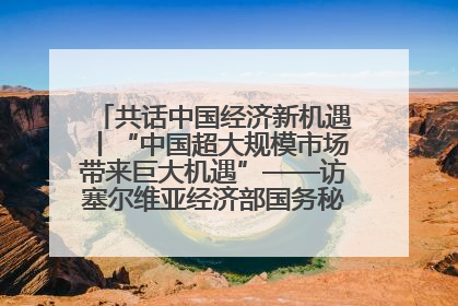 共话中国经济新机遇丨“中国超大规模市场带来巨大机遇”——访塞尔维亚经济部国务秘书尼科利奇