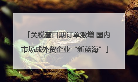 关税窗口期订单激增 国内市场成外贸企业“新蓝海”