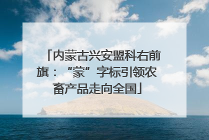 内蒙古兴安盟科右前旗：“蒙”字标引领农畜产品走向全国